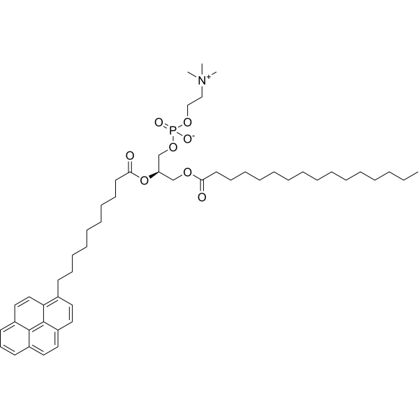 10-Pyrene-PC 95864-17-8